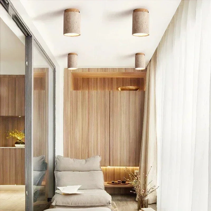 Minimalist LED Recessed Light